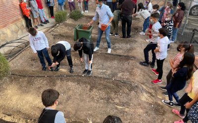 Circ 4 Life – Culminación del círculo